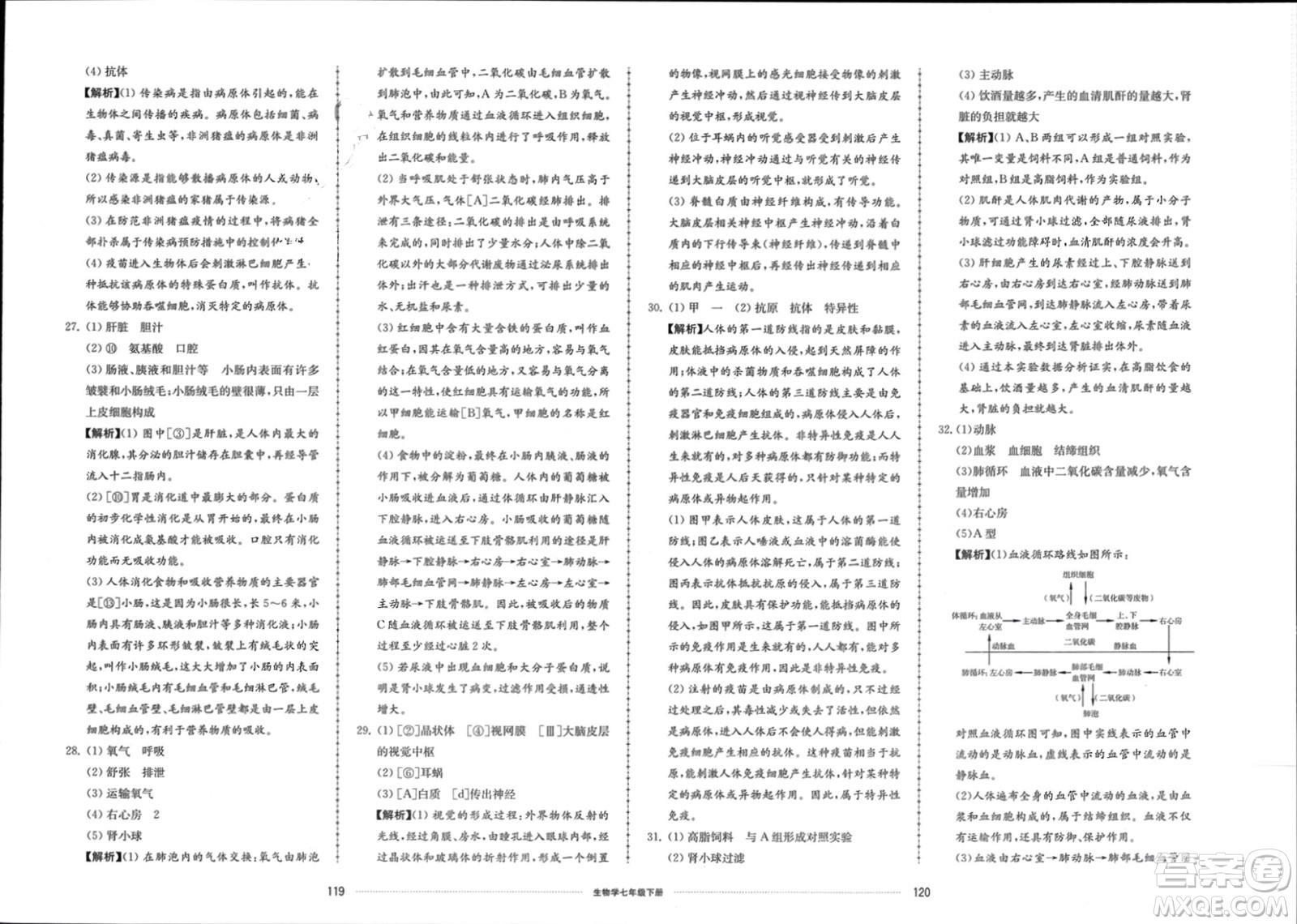 山東科學技術(shù)出版社2024年春同步練習冊配套單元檢測卷七年級生物下冊通用版參考答案