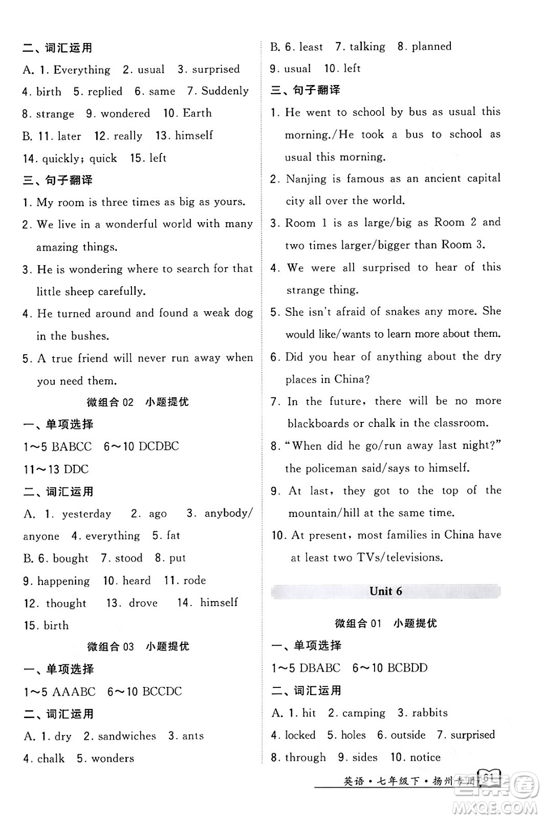 河海大學(xué)出版社2024年春經(jīng)綸學(xué)典學(xué)霸組合訓(xùn)練七年級英語下冊揚(yáng)州專版答案