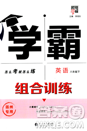 河海大學(xué)出版社2024年春經(jīng)綸學(xué)典學(xué)霸組合訓(xùn)練八年級(jí)英語(yǔ)下冊(cè)揚(yáng)州專(zhuān)版答案