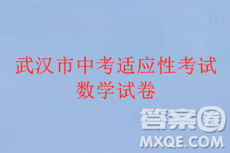 2024年武漢市中考適應(yīng)性考試數(shù)學(xué)試卷參考答案