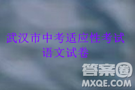 2024年武漢市中考適應(yīng)性考試語文試卷參考答案