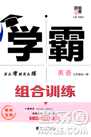 河海大學出版社2024年春經(jīng)綸學典學霸組合訓練九年級英語下冊常州專版答案