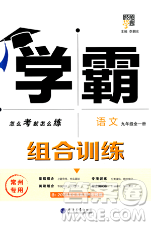 河海大學出版社2024年春經綸學典學霸組合訓練九年級語文下冊常州專版答案