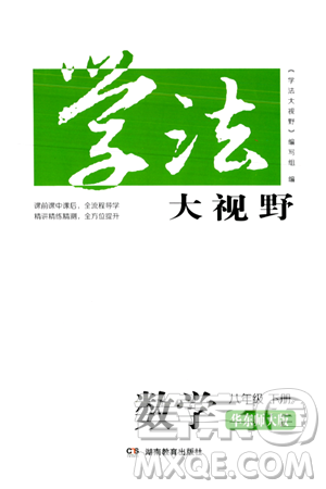 湖南教育出版社2024年春學(xué)法大視野八年級(jí)數(shù)學(xué)下冊(cè)華東師大版答案