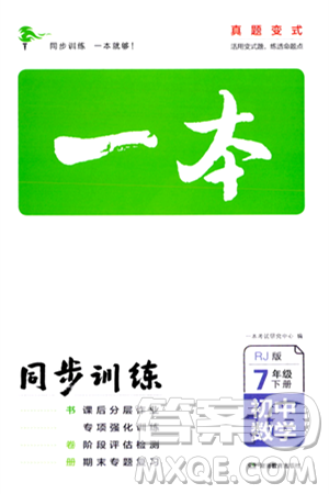 湖南教育出版社2024年春一本同步訓(xùn)練七年級數(shù)學(xué)下冊人教版答案