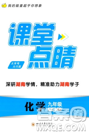 四川大學(xué)出版社2024年春課堂點(diǎn)睛九年級(jí)化學(xué)下冊(cè)人教版湖南專版參考答案