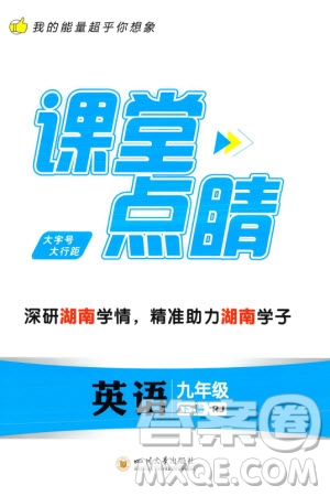四川大學出版社2024年春課堂點睛九年級英語下冊人教版湖南專版參考答案