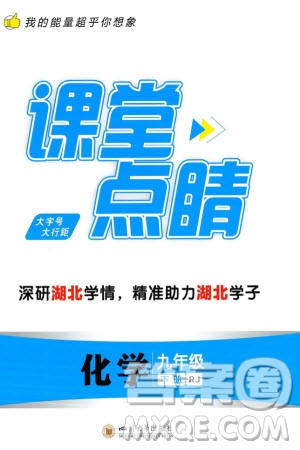 四川大學(xué)出版社2024年春課堂點(diǎn)睛九年級化學(xué)下冊人教版湖北專版參考答案