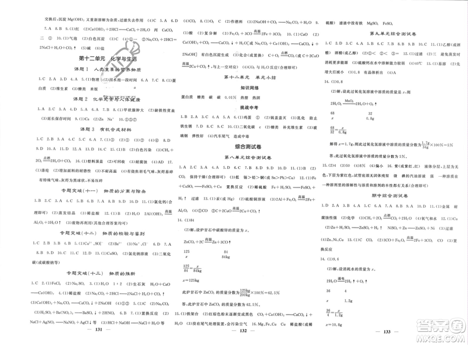四川大學(xué)出版社2024年春課堂點(diǎn)睛九年級化學(xué)下冊人教版湖北專版參考答案