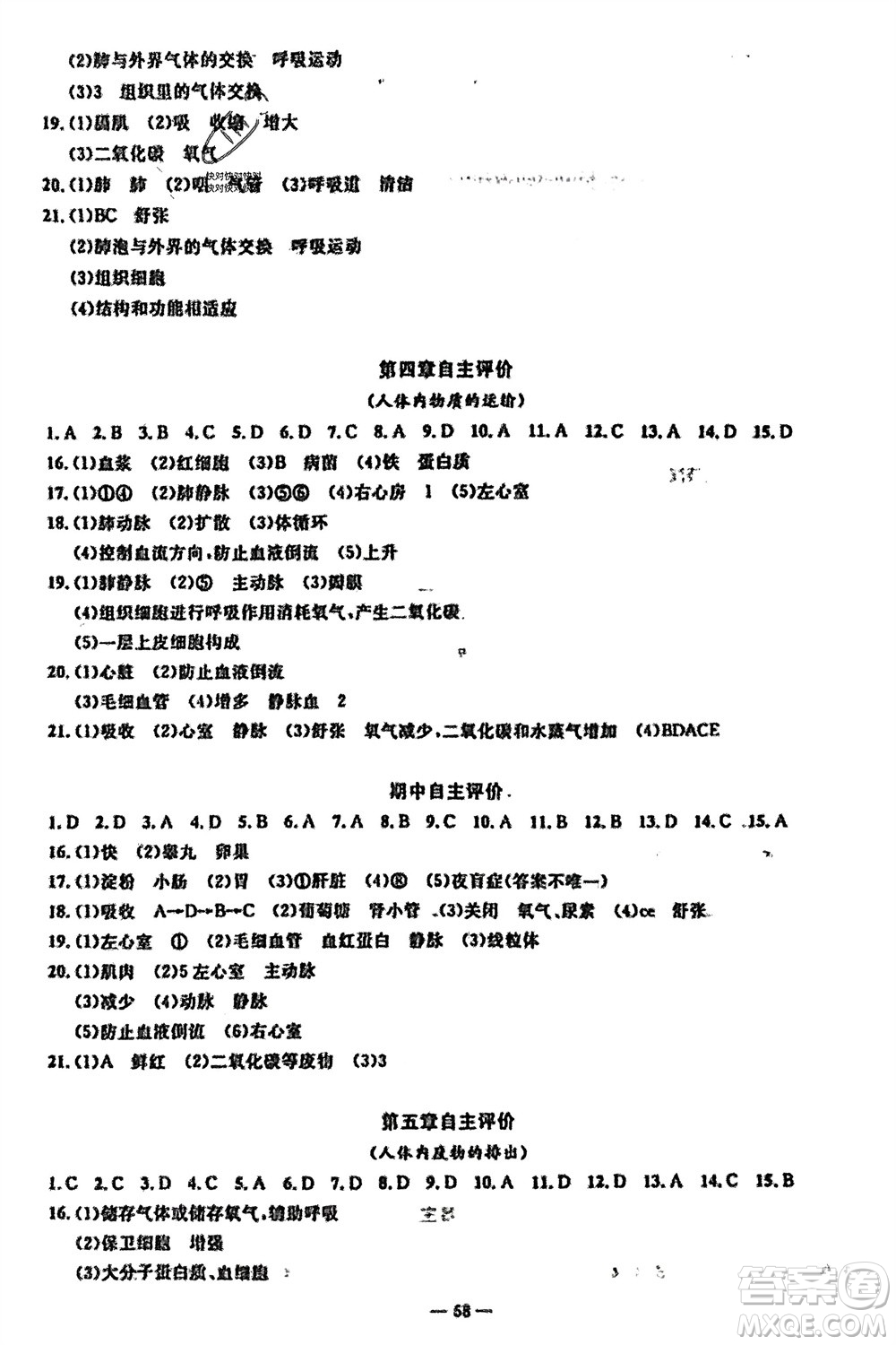 長江少年兒童出版社2024年春智慧課堂自主評(píng)價(jià)七年級(jí)生物下冊(cè)通用版參考答案