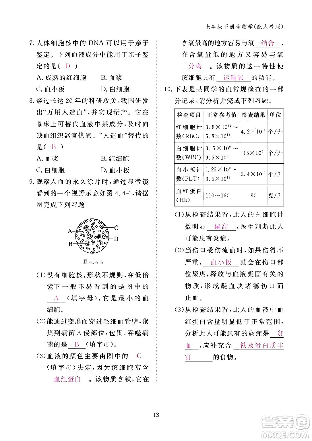 江西教育出版社2024年春生物作業(yè)本七年級生物下冊人教版答案