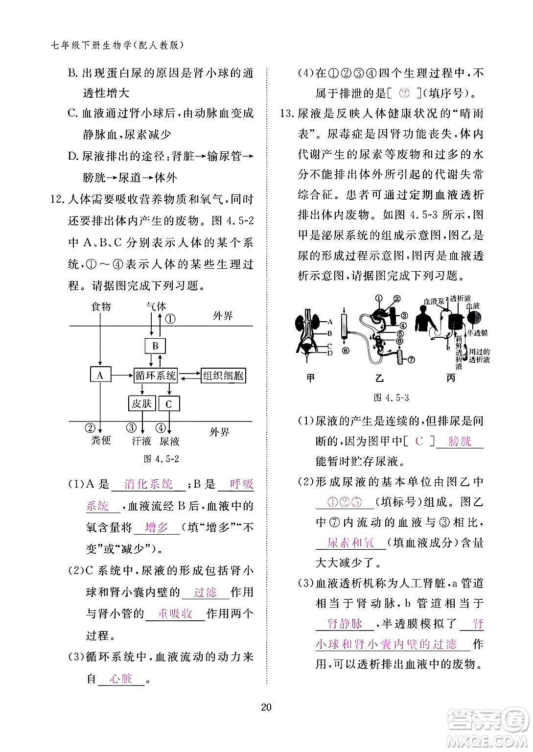 江西教育出版社2024年春生物作業(yè)本七年級生物下冊人教版答案