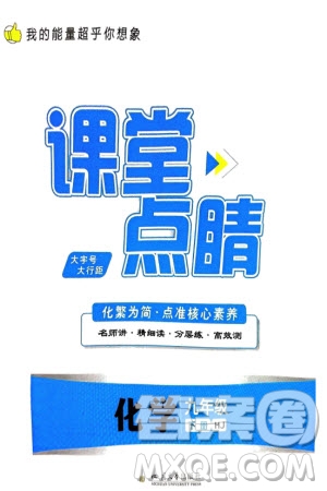 四川大學(xué)出版社2024年春課堂點(diǎn)睛九年級化學(xué)下冊滬教版參考答案