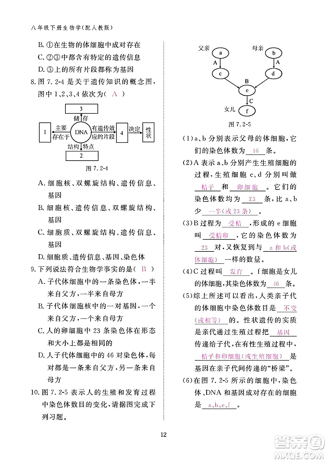 江西教育出版社2024年春生物作業(yè)本八年級生物下冊人教版答案