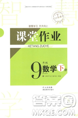武漢出版社2024年春智慧學習天天向上課堂作業(yè)九年級數(shù)學下冊人教版答案
