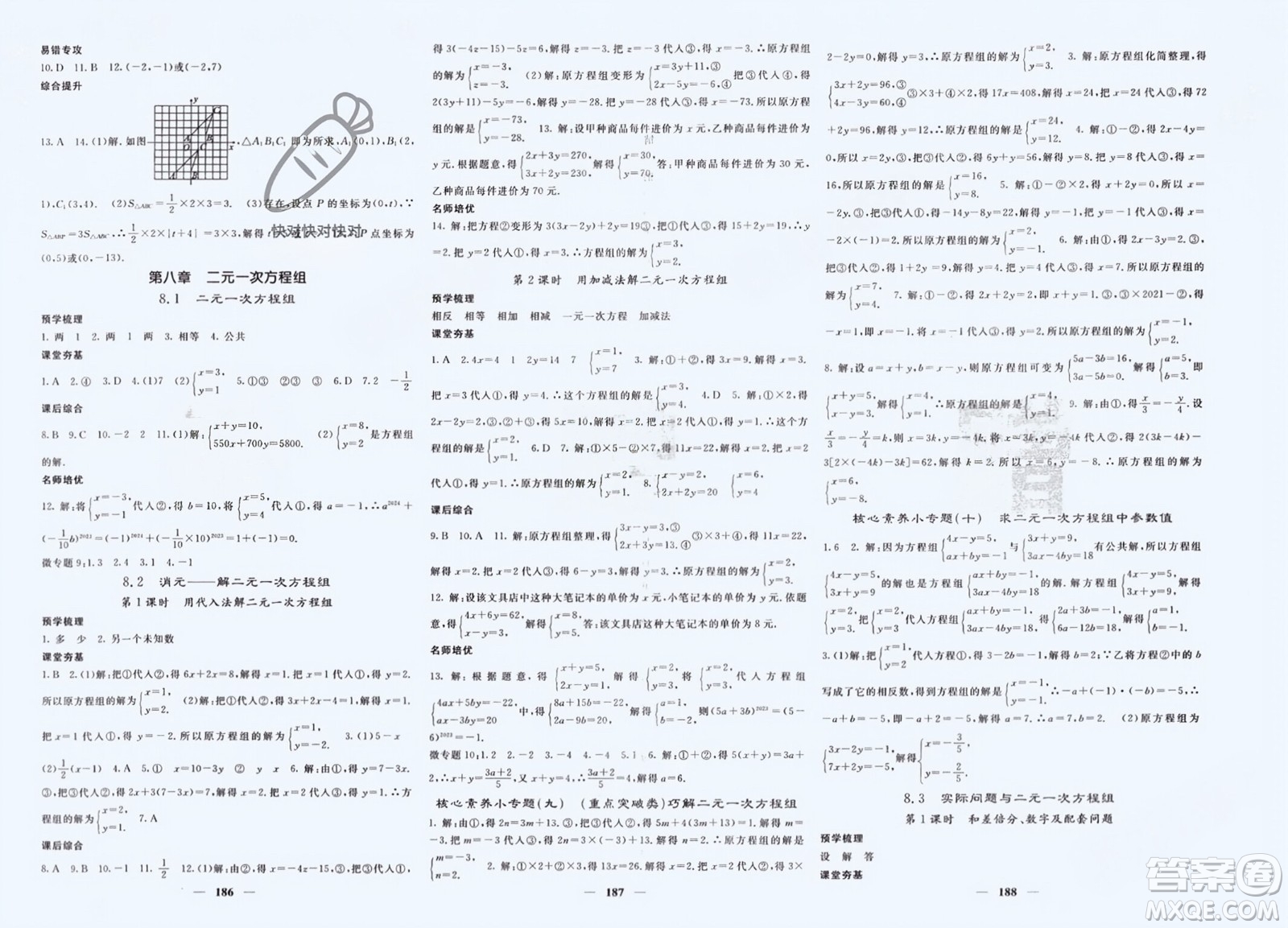 長(zhǎng)江少年兒童出版社2024年春名校課堂內(nèi)外七年級(jí)數(shù)學(xué)下冊(cè)人教版參考答案