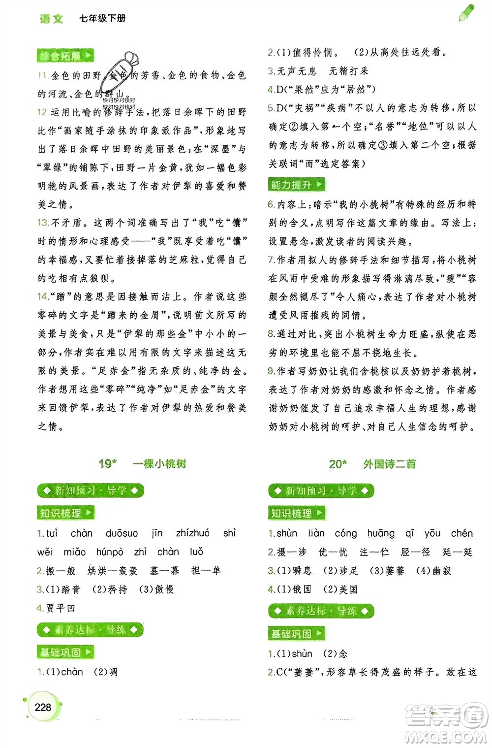 廣西師范大學(xué)出版社2024年春新課程學(xué)習(xí)與測(cè)評(píng)同步學(xué)習(xí)七年級(jí)語(yǔ)文下冊(cè)通用版參考答案