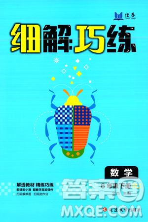 延邊大學(xué)出版社2024年春細(xì)解巧練六年級(jí)數(shù)學(xué)下冊人教版答案
