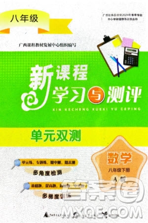 廣西師范大學(xué)出版社2024年春新課程學(xué)習(xí)與測評單元雙測八年級數(shù)學(xué)下冊A版人教版參考答案