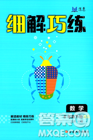 延邊大學(xué)出版社2024年春細(xì)解巧練六年級(jí)數(shù)學(xué)下冊(cè)北師大版答案