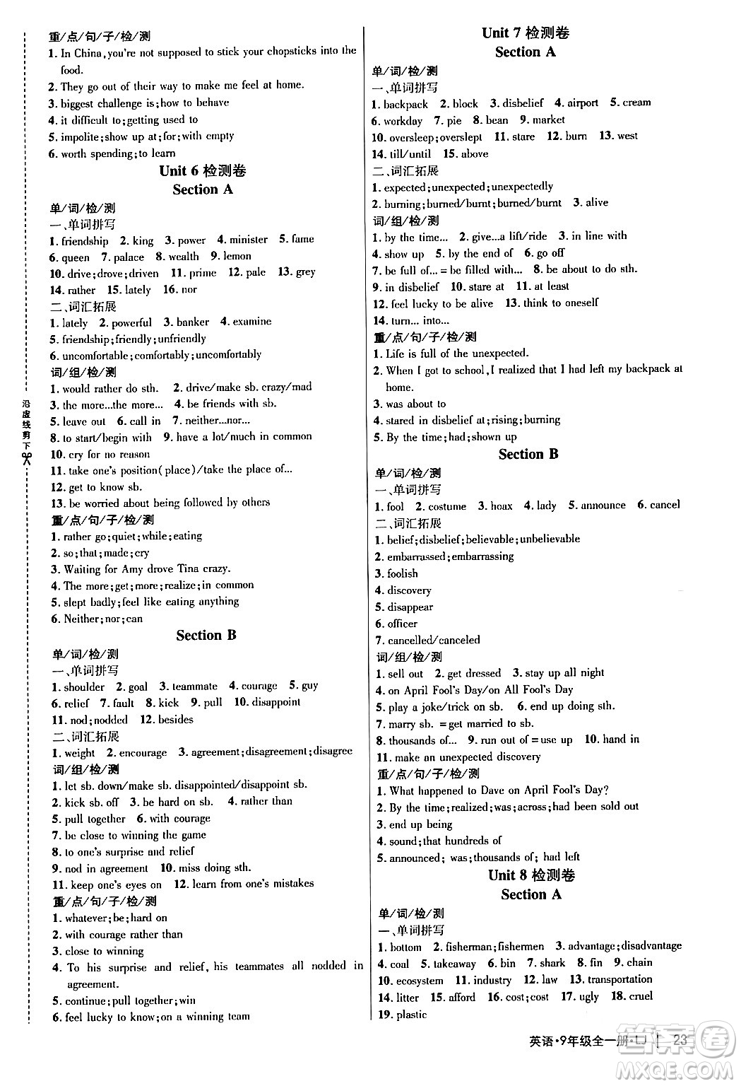 延邊大學(xué)出版社2024年春細(xì)解巧練九年級(jí)英語(yǔ)下冊(cè)魯教版答案