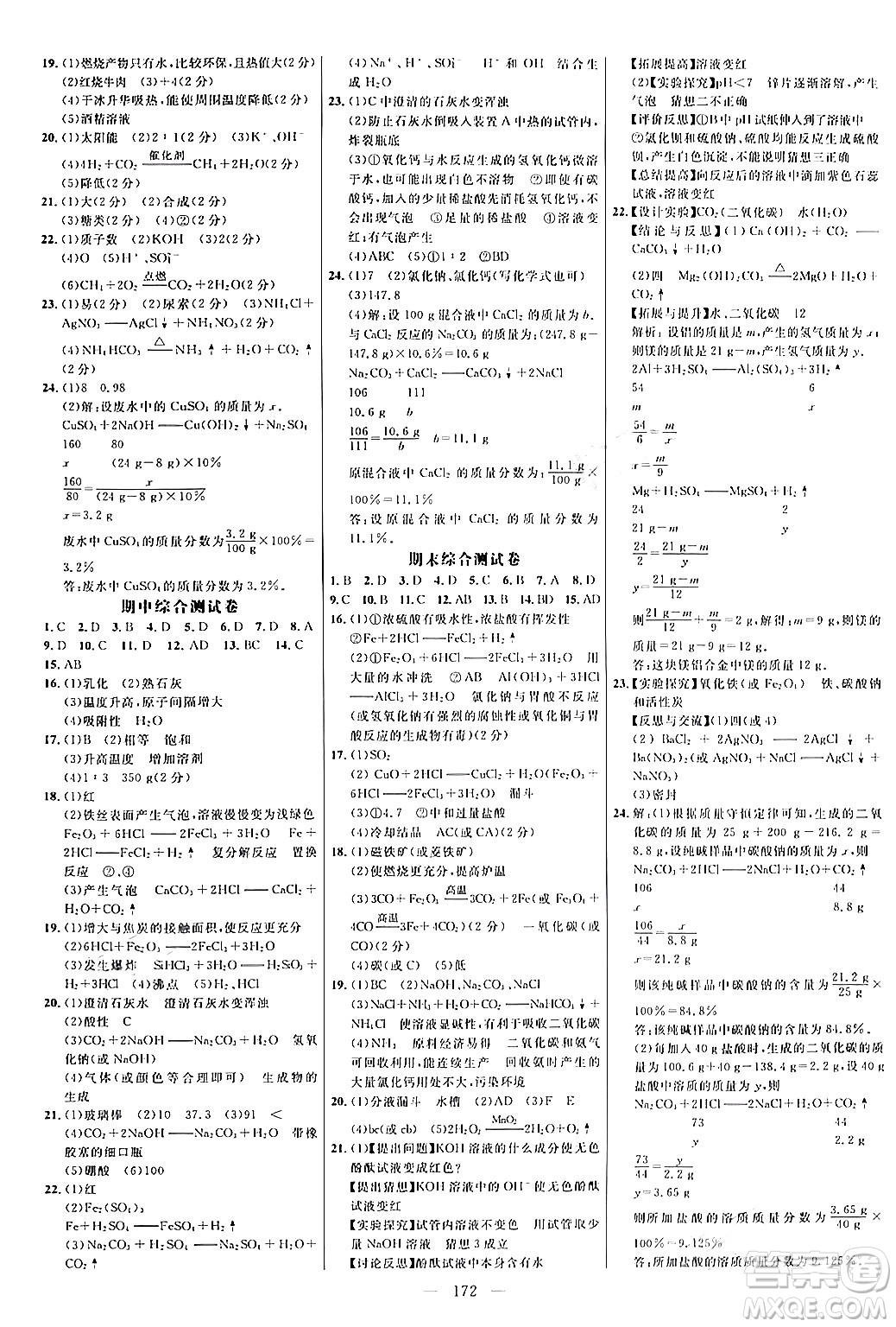 延邊大學(xué)出版社2024年春細(xì)解巧練九年級化學(xué)下冊魯教版答案