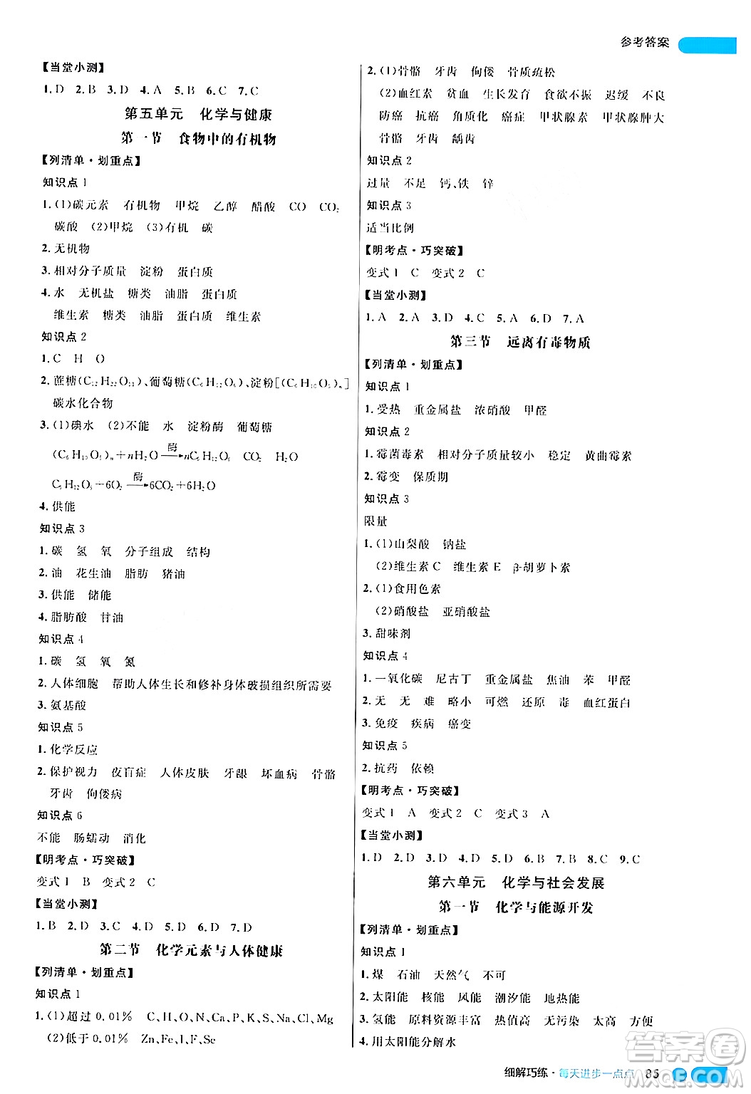 延邊大學(xué)出版社2024年春細(xì)解巧練九年級化學(xué)下冊魯教版答案