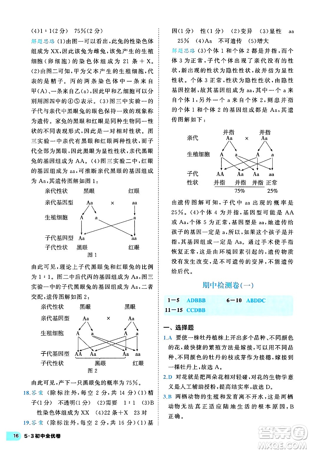 西安出版社2024年春53初中全優(yōu)卷八年級生物下冊人教版答案
