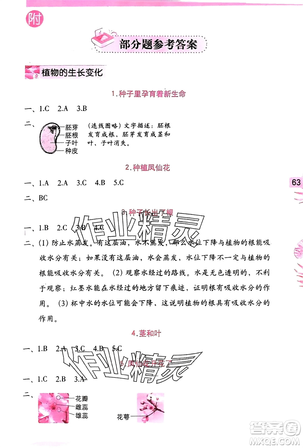 海燕出版社2024年春科學(xué)學(xué)習(xí)與鞏固四年級下冊教科版參考答案
