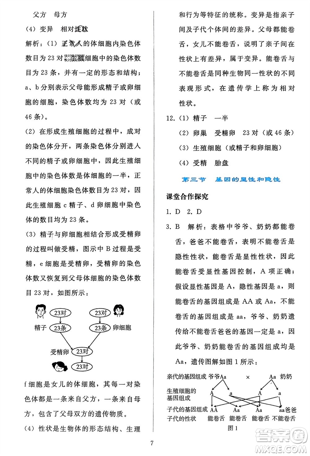 人民教育出版社2024年春同步輕松練習(xí)八年級(jí)生物下冊(cè)人教版參考答案