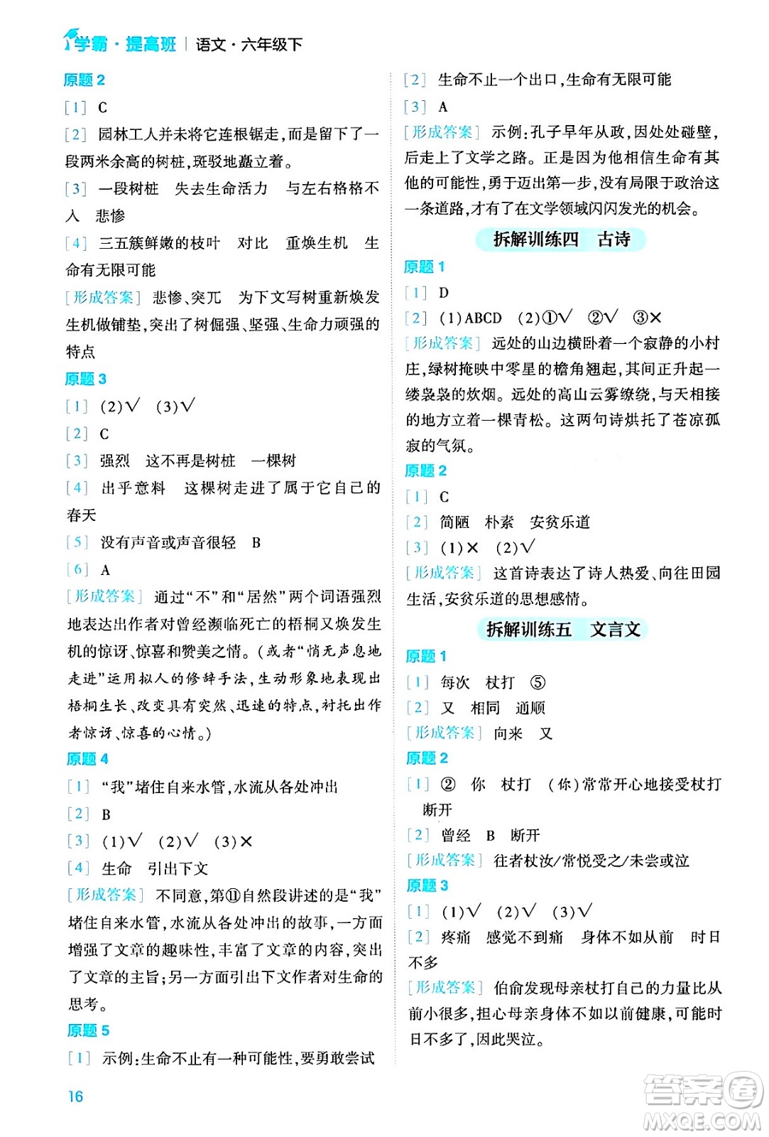 河海大學出版社2024年春經(jīng)綸學霸4星學霸提高班六年級語文下冊通用版答案
