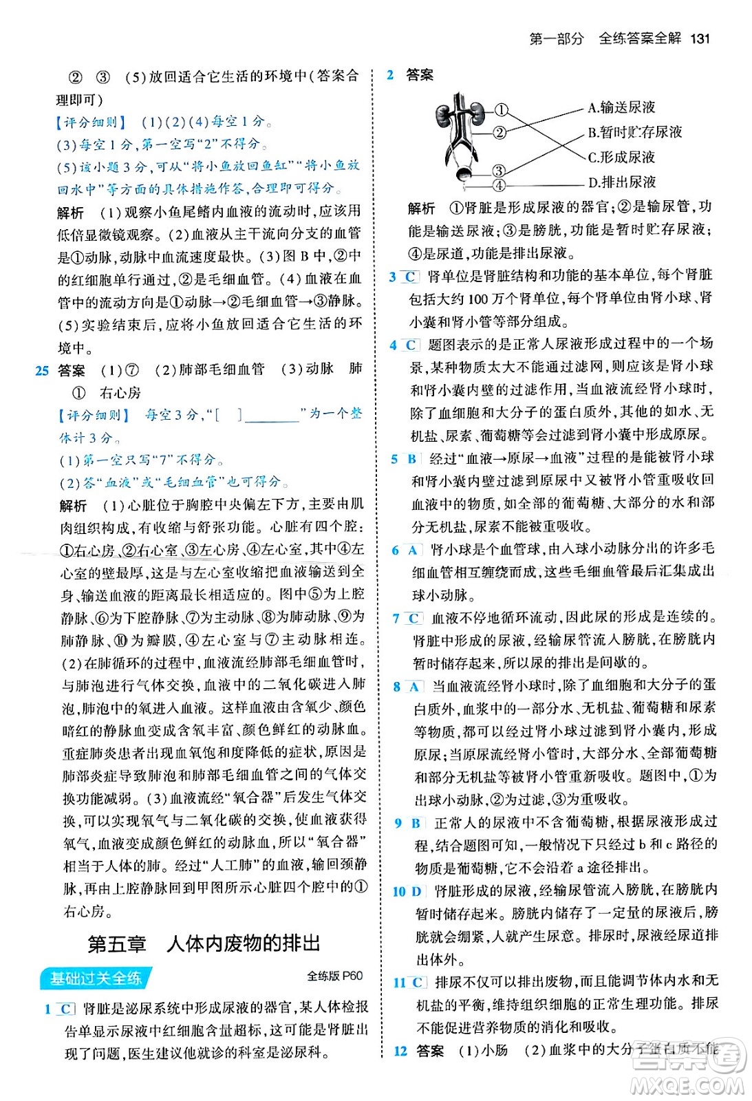 首都師范大學(xué)出版社2024年春初中同步5年中考3年模擬七年級(jí)生物下冊(cè)人教版答案