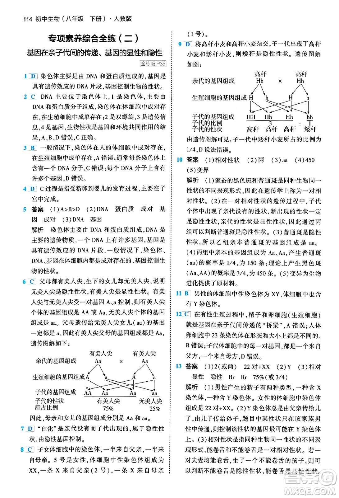 首都師范大學(xué)出版社2024年春初中同步5年中考3年模擬八年級(jí)生物下冊(cè)人教版答案