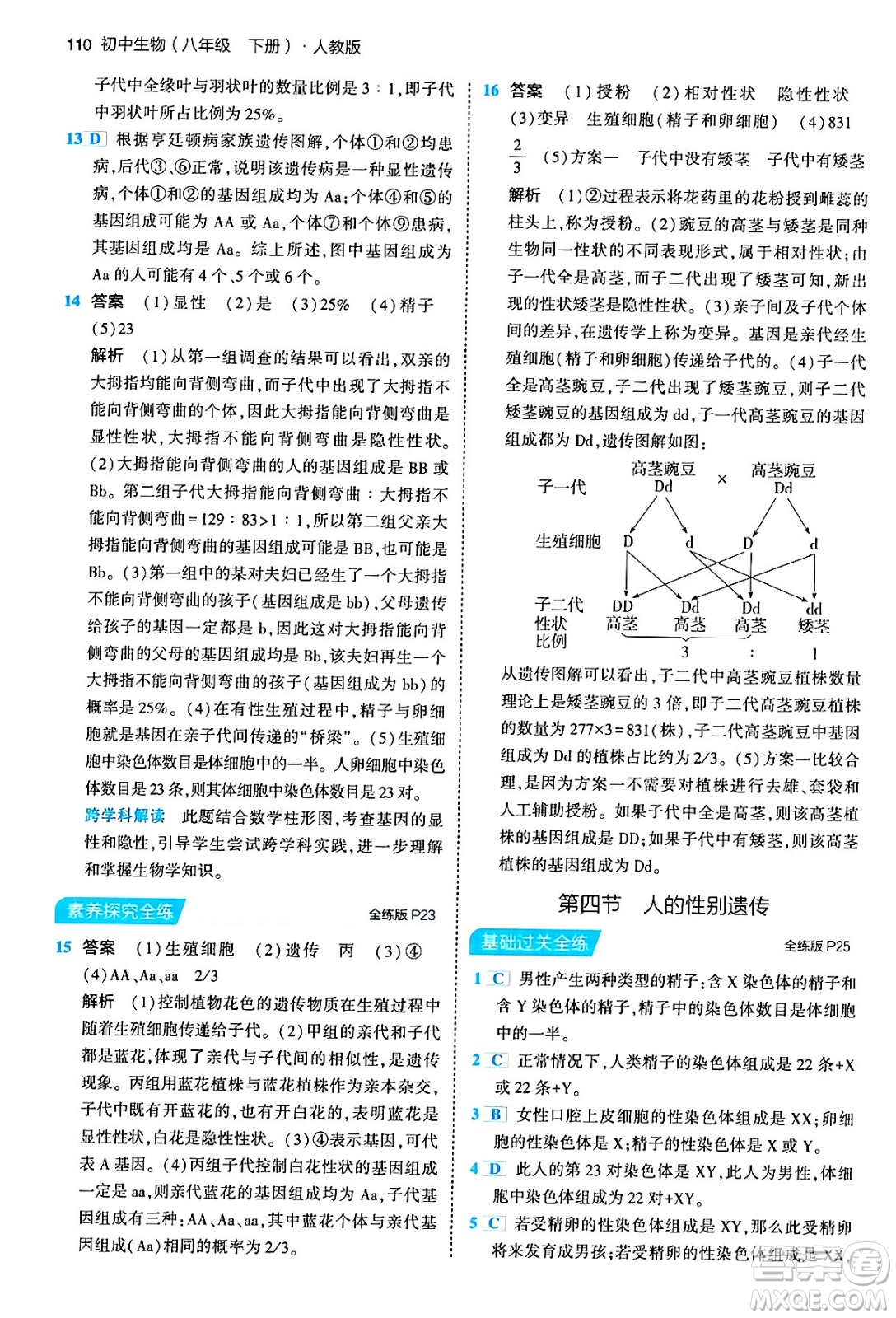 首都師范大學(xué)出版社2024年春初中同步5年中考3年模擬八年級(jí)生物下冊(cè)人教版答案
