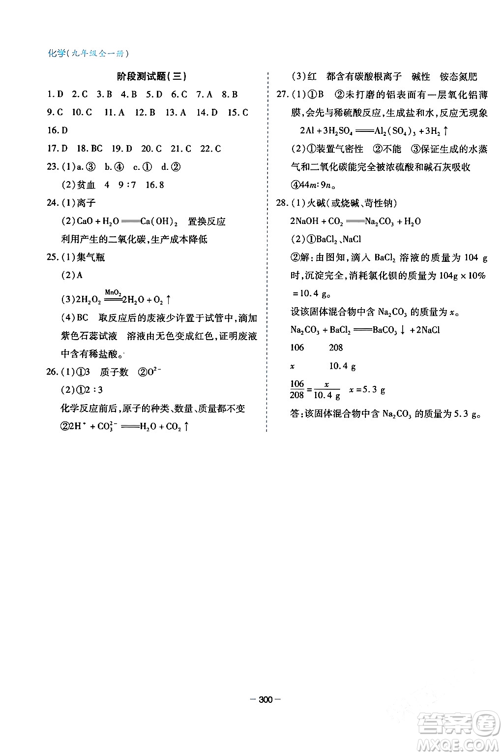 青島出版社2024年春新課堂學(xué)習(xí)與探究九年級(jí)化學(xué)下冊(cè)通用版答案