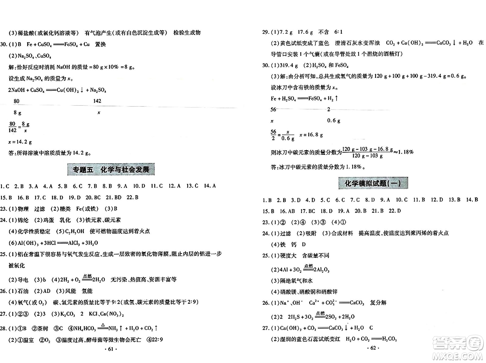 青島出版社2024年春新課堂學(xué)習(xí)與探究九年級(jí)化學(xué)下冊(cè)通用版答案