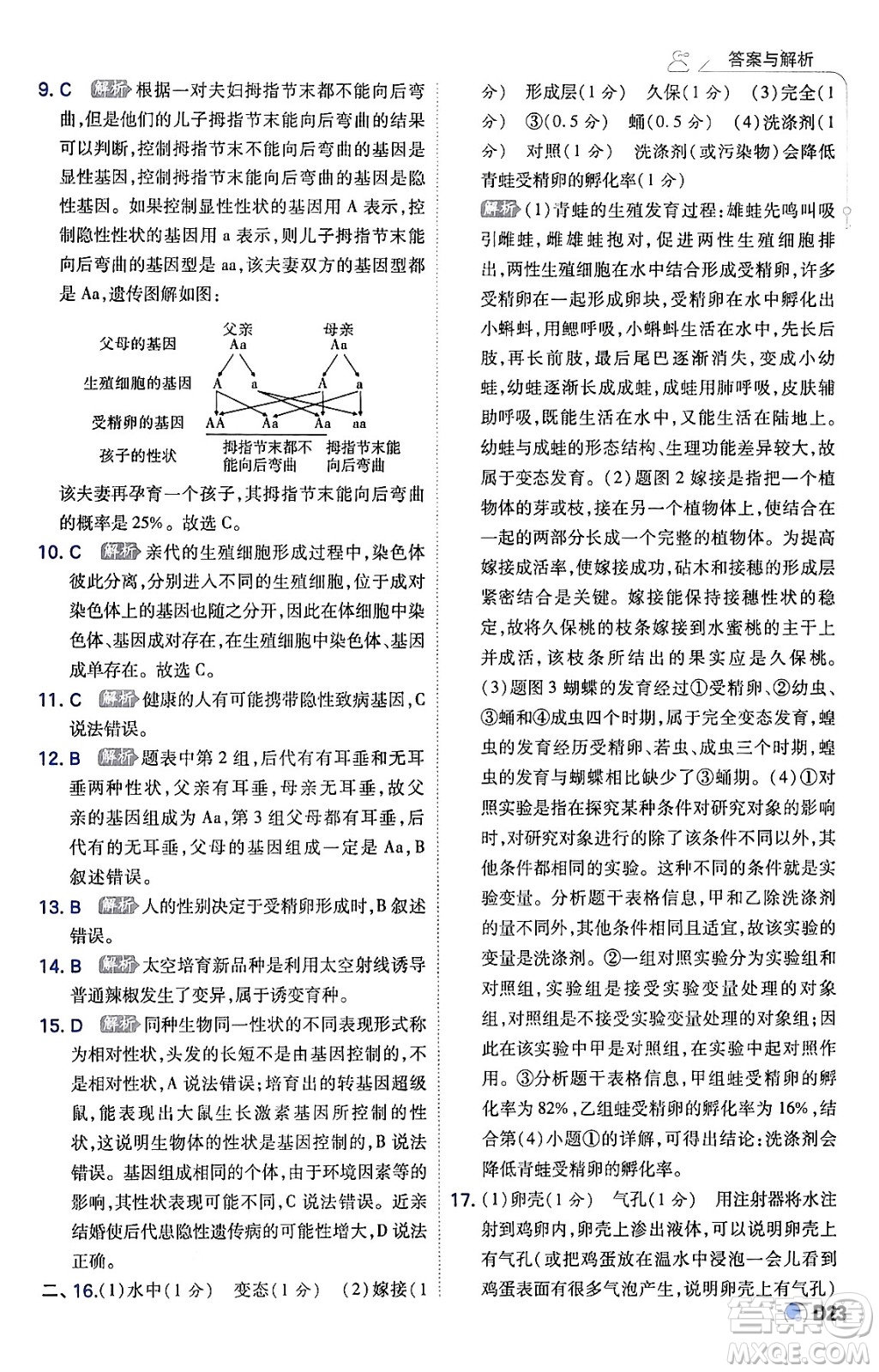 開明出版社2024年春少年班八年級生物下冊人教版答案