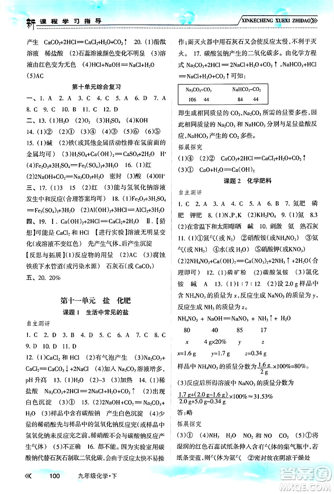 南方出版社2024年春新課程學(xué)習(xí)指導(dǎo)九年級化學(xué)下冊人教版答案