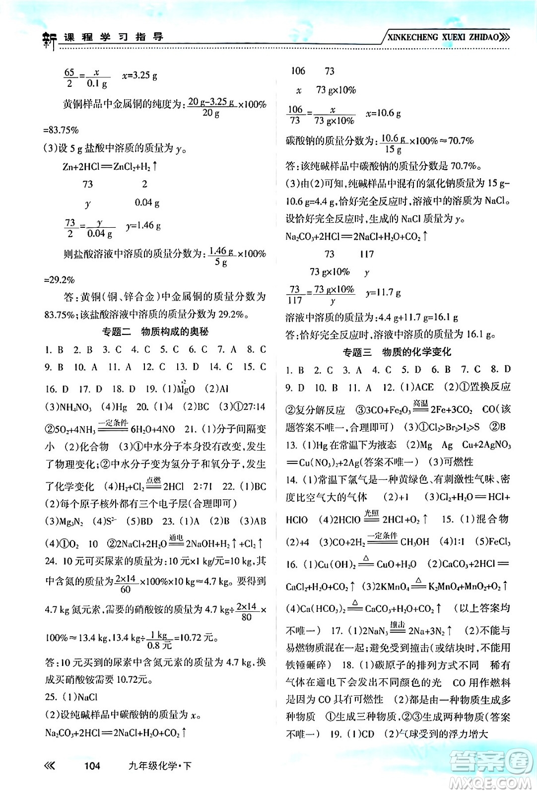 南方出版社2024年春新課程學(xué)習(xí)指導(dǎo)九年級化學(xué)下冊人教版答案