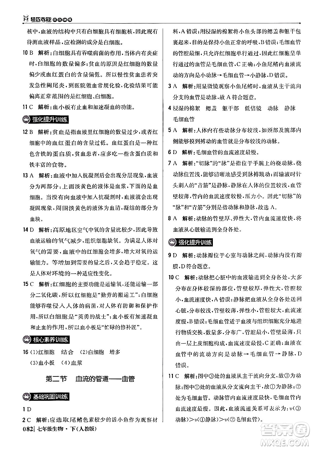 北京教育出版社2024年春1+1輕巧奪冠優(yōu)化訓(xùn)練七年級(jí)生物下冊(cè)人教版答案
