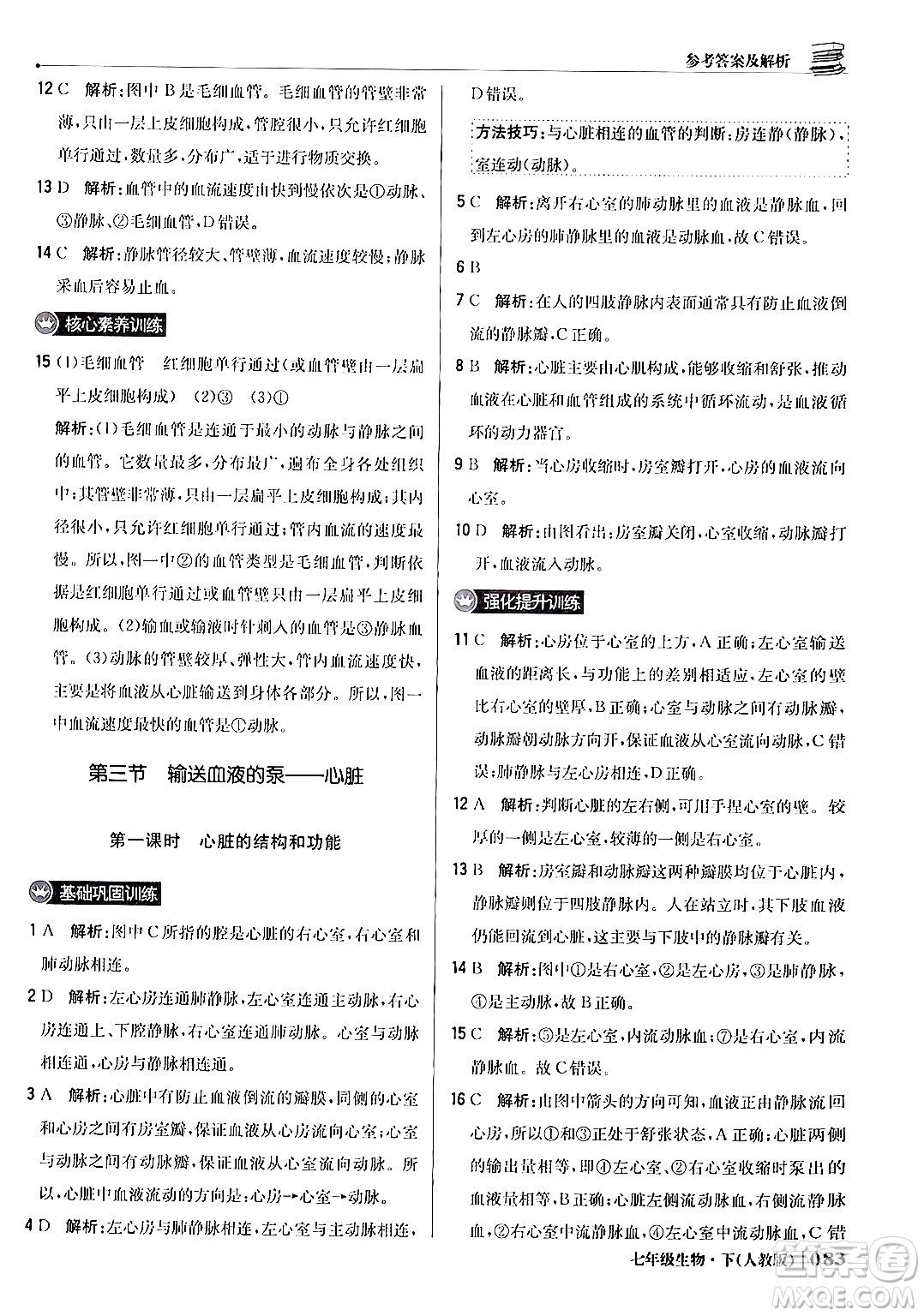 北京教育出版社2024年春1+1輕巧奪冠優(yōu)化訓(xùn)練七年級(jí)生物下冊(cè)人教版答案