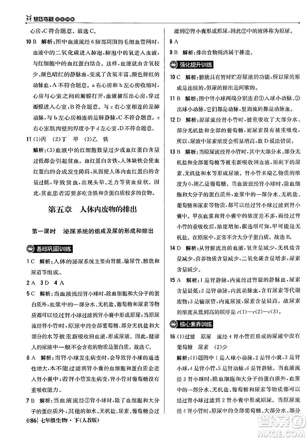 北京教育出版社2024年春1+1輕巧奪冠優(yōu)化訓(xùn)練七年級(jí)生物下冊(cè)人教版答案