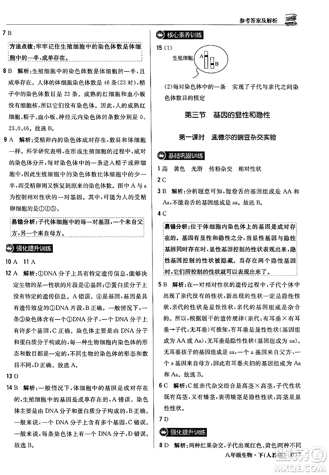 北京教育出版社2024年春1+1輕巧奪冠優(yōu)化訓(xùn)練八年級生物下冊人教版答案