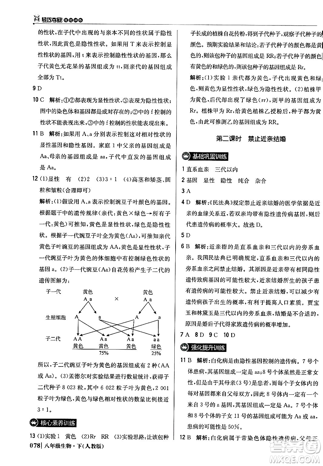 北京教育出版社2024年春1+1輕巧奪冠優(yōu)化訓(xùn)練八年級生物下冊人教版答案