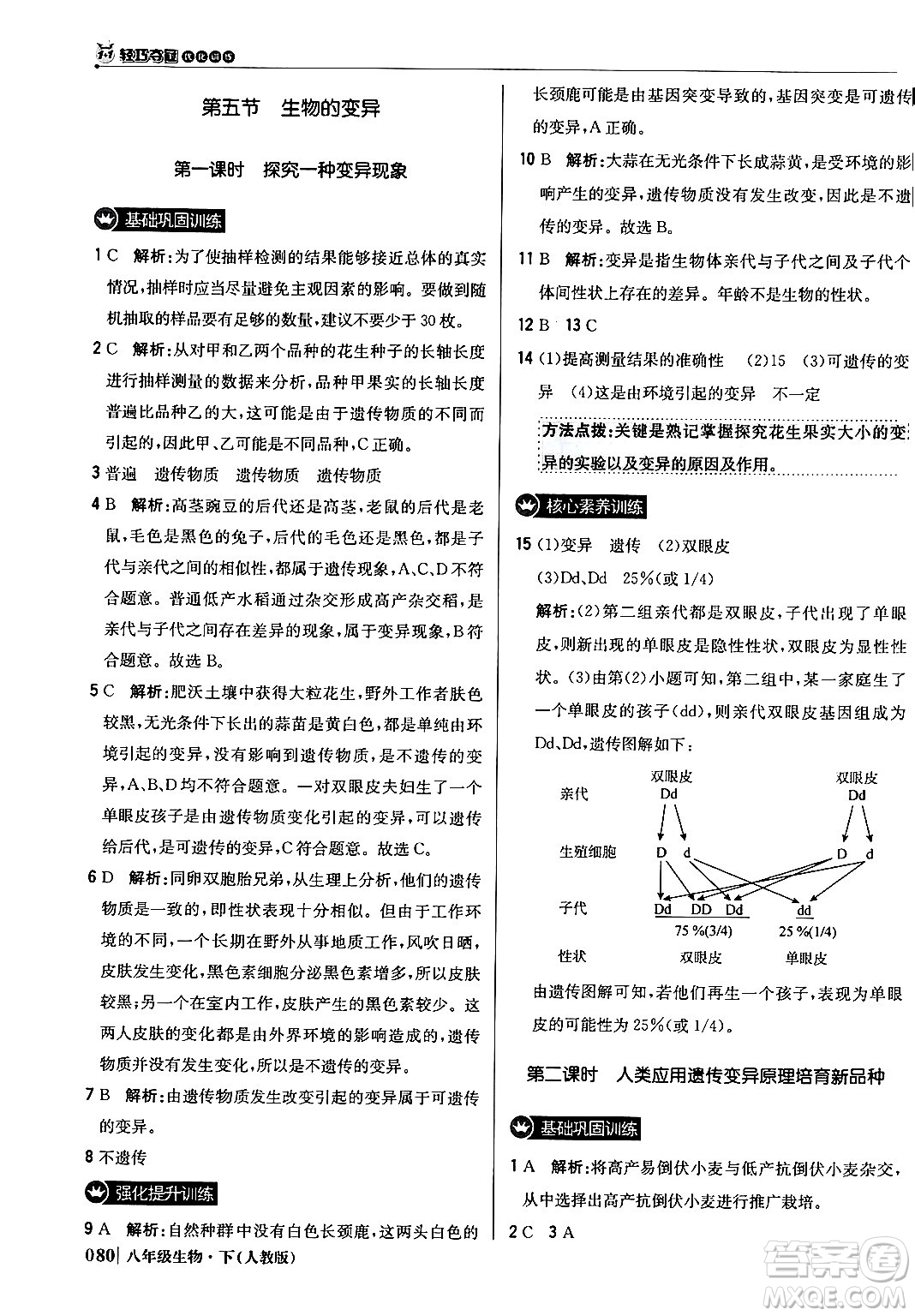 北京教育出版社2024年春1+1輕巧奪冠優(yōu)化訓(xùn)練八年級生物下冊人教版答案