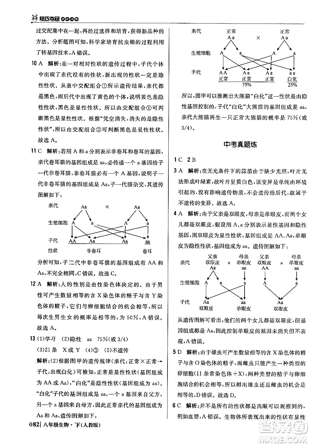 北京教育出版社2024年春1+1輕巧奪冠優(yōu)化訓(xùn)練八年級生物下冊人教版答案