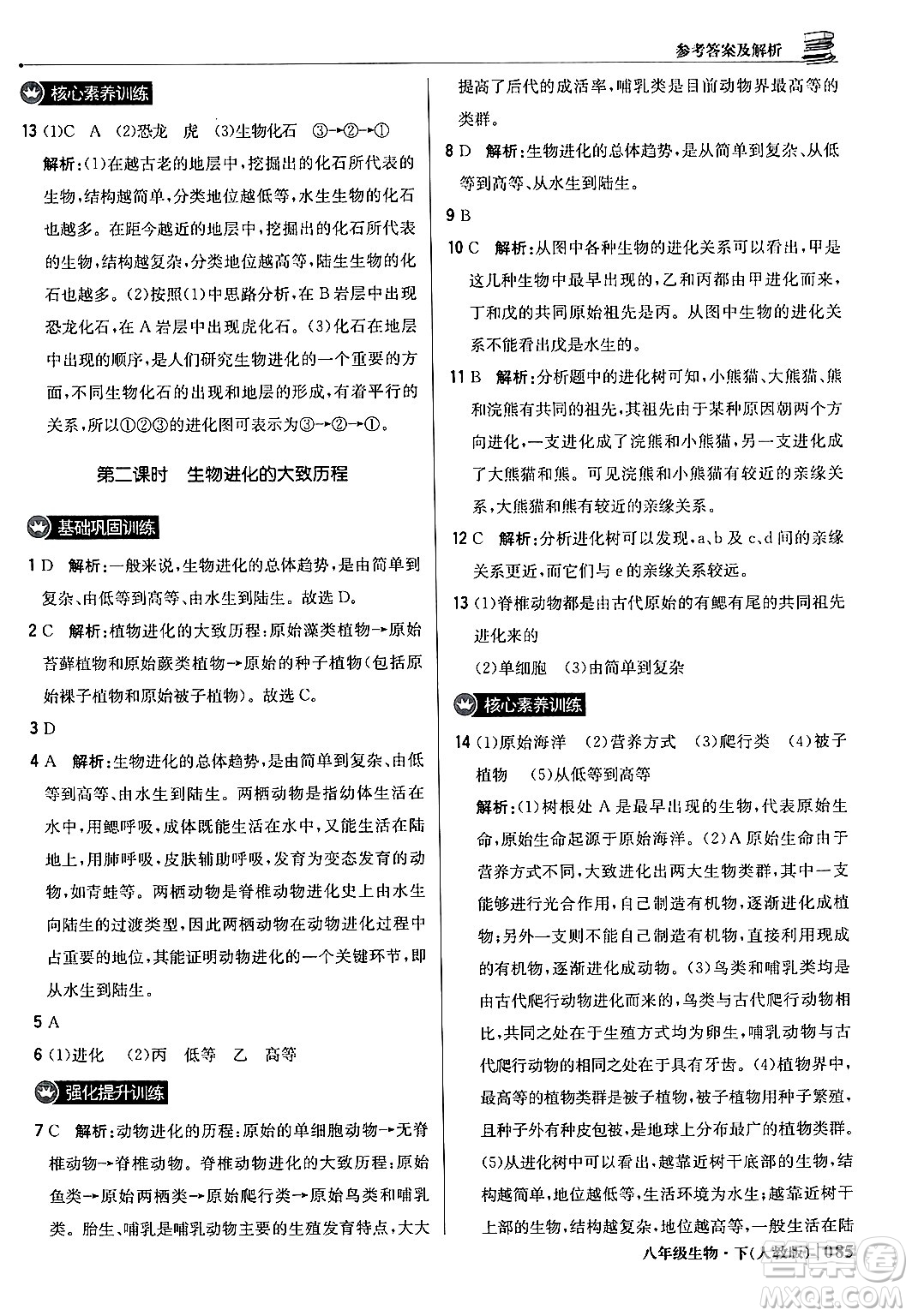 北京教育出版社2024年春1+1輕巧奪冠優(yōu)化訓(xùn)練八年級生物下冊人教版答案