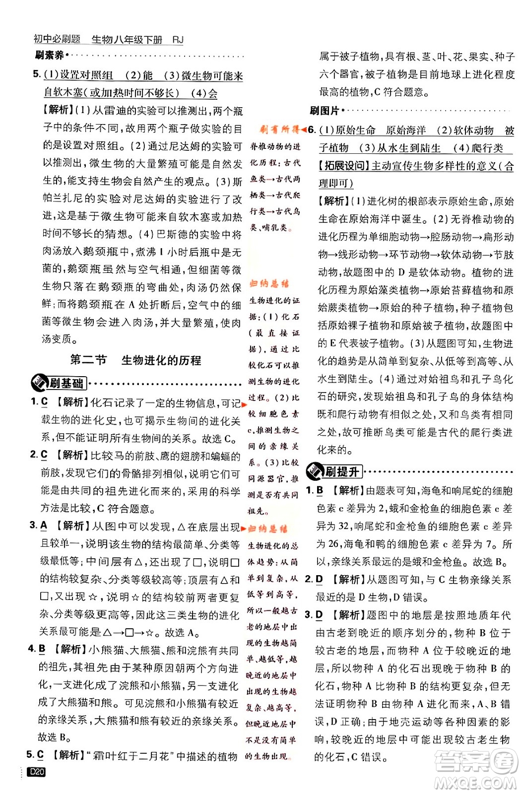 開明出版社2024年春初中必刷題八年級生物下冊人教版答案