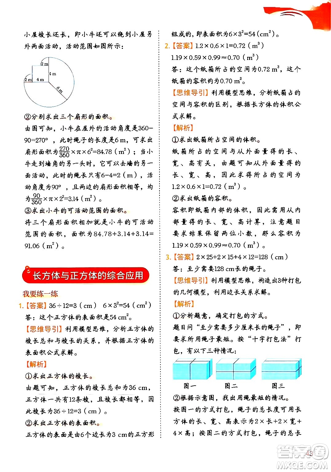 二十一世紀出版社集團2024年春數(shù)學思維訓練六年級數(shù)學下冊通用版答案