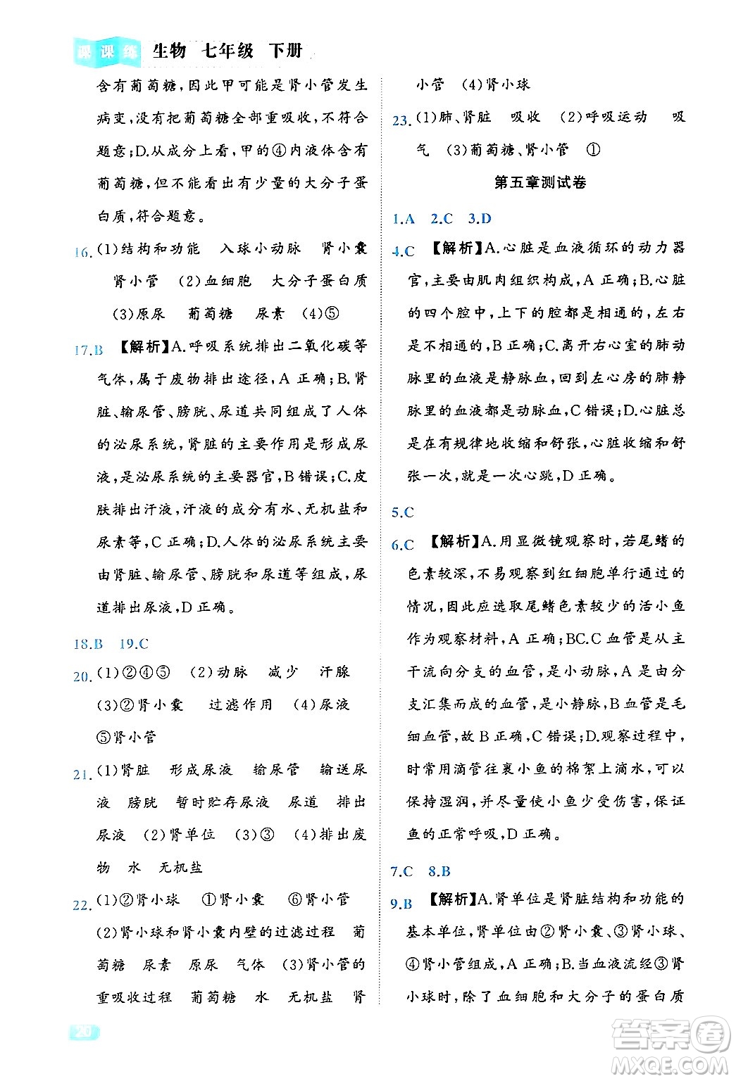 西安出版社2024年春課課練同步訓練七年級生物下冊人教版答案